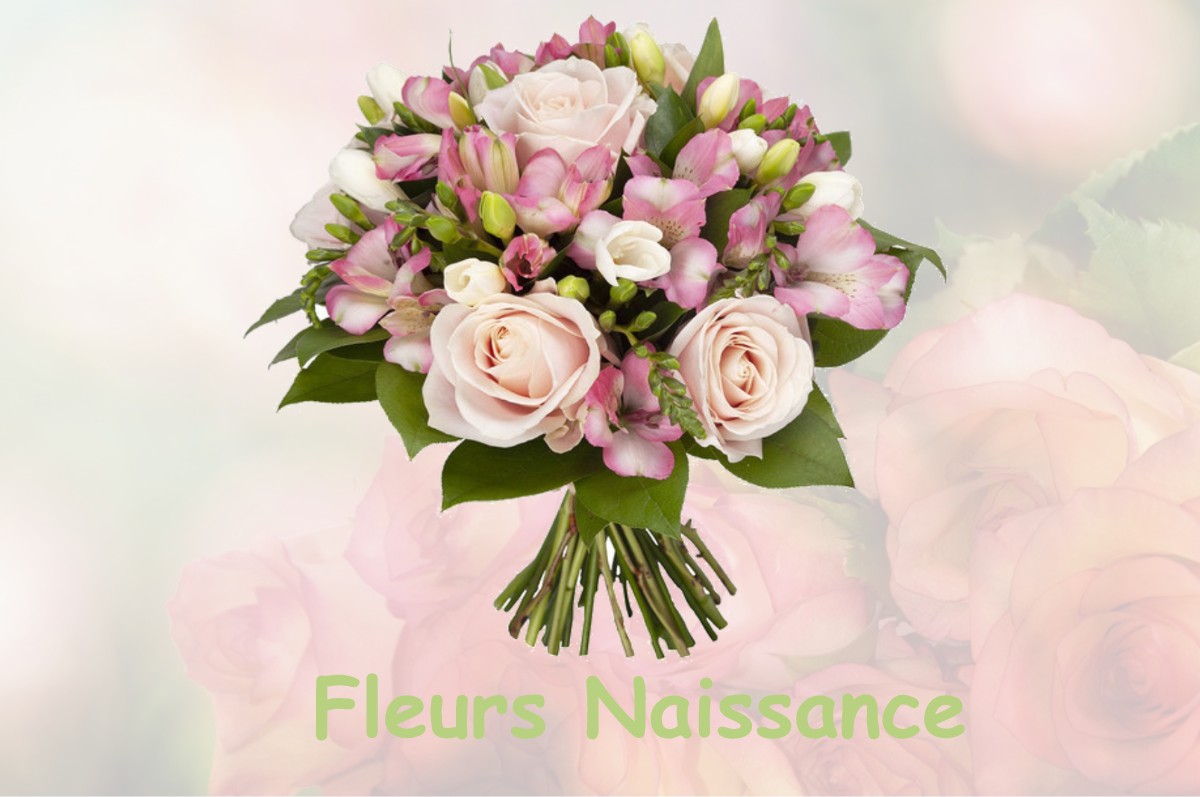 fleurs naissance NAIX-AUX-FORGES