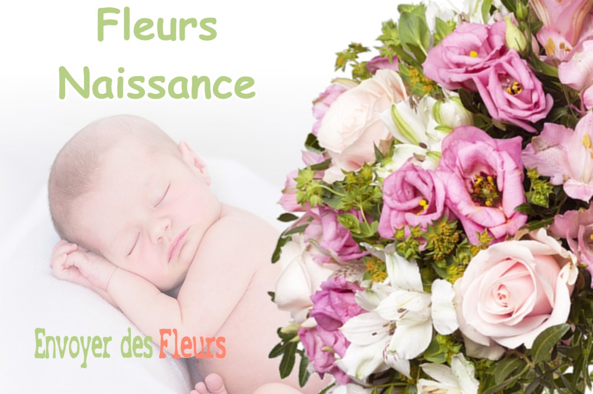 lIVRAISON FLEURS NAISSANCE à NAIX-AUX-FORGES